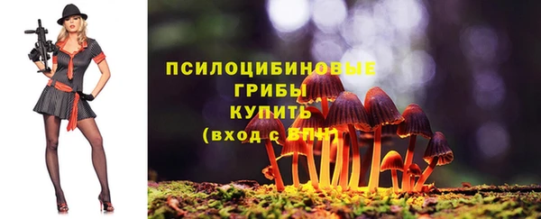 ПСИЛОЦИБИНОВЫЕ ГРИБЫ Алексин