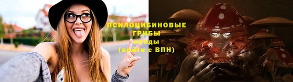ПСИЛОЦИБИНОВЫЕ ГРИБЫ Алексин