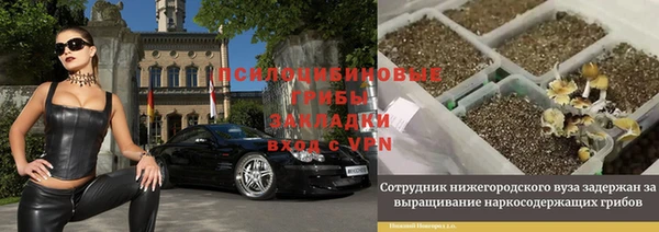 ПСИЛОЦИБИНОВЫЕ ГРИБЫ Алексин