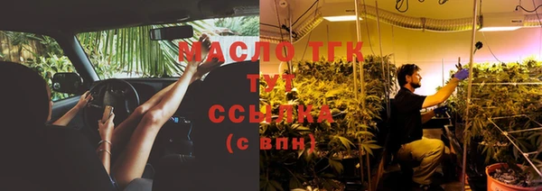 соль ск Алзамай