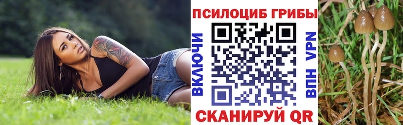 Галлюциногенные грибы MAGIC MUSHROOMS  Краснообск 